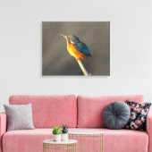 Kingfisher Canvas Afdruk (Insitu (Woonkamer))