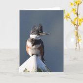 Kingfisher - Carte Art Cadre (Fleur jaune)