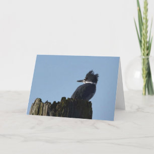 Kingfisher - Carte Art Cadre