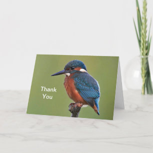 Kingfisher Carte de remerciements