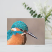 Kingfisher Carte photo de la nature (Debout devant)