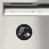 KINGFISHER, Electric Blue, Black Magneet (Insitu (Vaatwasser))