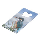 Kingfisher et Willow (Dos Angle)