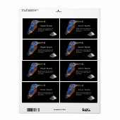 KINGFISHER ETIKET (Full Sheet)