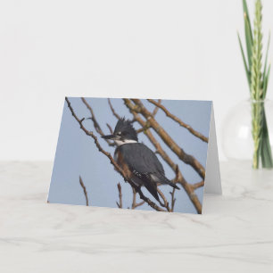 Kingfisher - Frameable Art Kaart