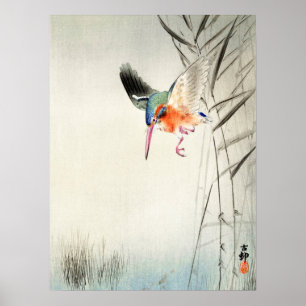 Kingfisher Hunting - Ohara Koson -  artikel 18 bis Poster