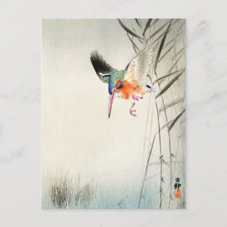 Kingfisher Hunting - Ohara Koson -  kunst Briefkaart