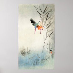 Kingfisher Hunting - Ohara Koson -  kunst Poster