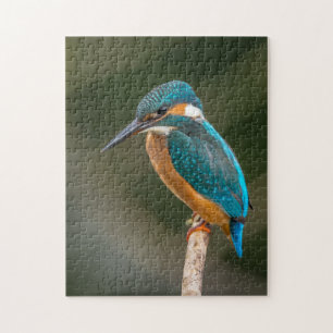 KIngfisher Legpuzzel