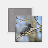 "Kingfisher" magneet (Voorkant / Achterkant)