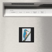 Kingfisher Magnet (In Situ (Lave-vaisselle))