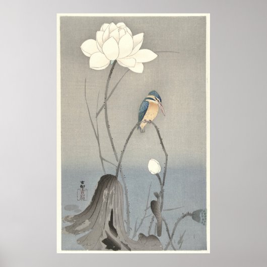 Kingfisher met Lotus Flower - Archiefdruk Poster (Voorkant)