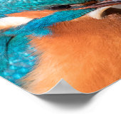 Kingfisher Natuur Foto Poster (Hoek)