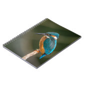 KIngfisher Notitieboek (Linkerzijde)