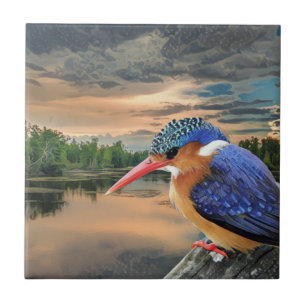 Kingfisher op Sunset Tegeltje