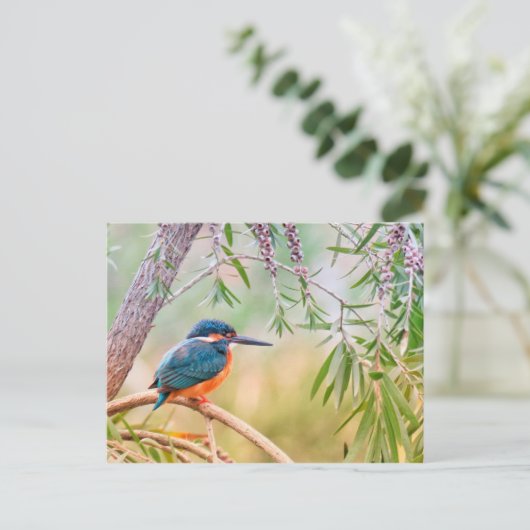 Kingfisher Perched op Branch Briefkaart (Staand voorkant)