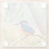 Kingfisher Perched op Branch Glazen Onderzetter (Achterkant)