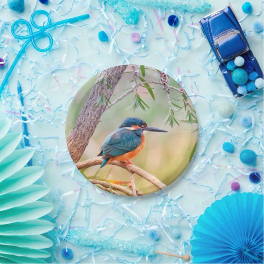 Kingfisher Perched op Branch Papieren Bordje (Feest)