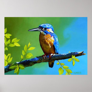 Kingfisher Poster