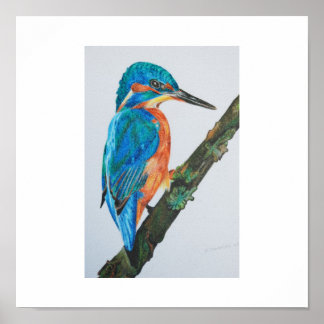 Kingfisher Print - kies uw papier en lijst!
