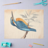 Kingfisher River Wildlife  Decoupage Print Tissuepapier (Craft)