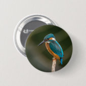 Kingfisher Ronde Button 5,7 Cm (Voorkant /achterkant)