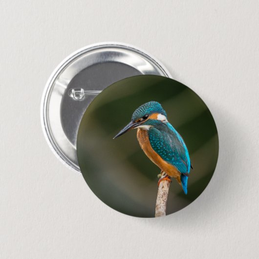 Kingfisher Ronde Button 5,7 Cm (Voorkant /achterkant)