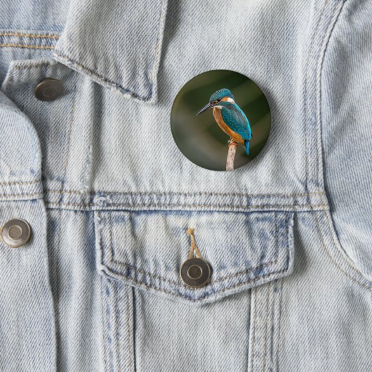 Kingfisher Ronde Button 5,7 Cm (In situ)