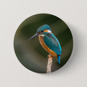 Kingfisher Ronde Button 5,7 Cm