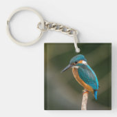 KIngfisher Sleutelhanger (Voorkant)