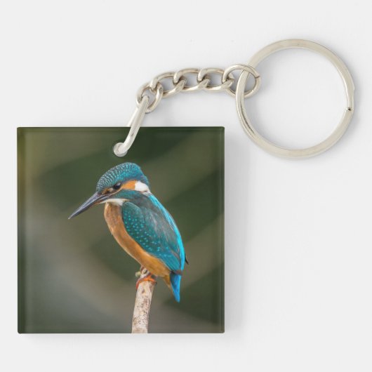 KIngfisher Sleutelhanger (Achterkant)