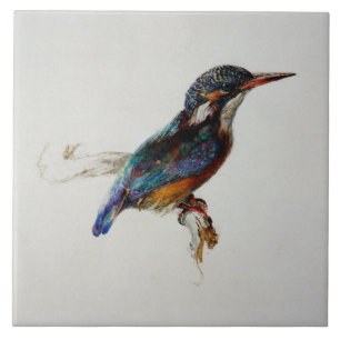Kingfisher (van John Ruskin) Tegeltje
