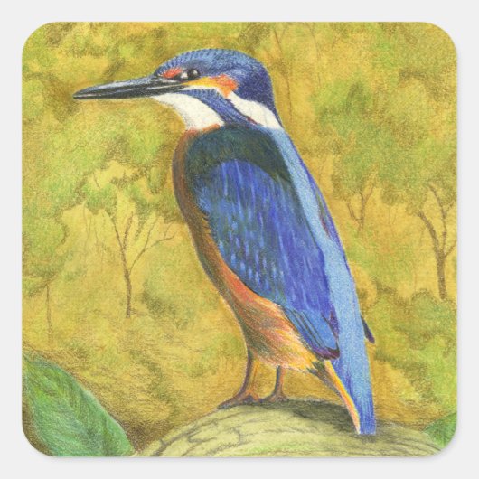 Kingfisher Vierkante Sticker (Voorkant)