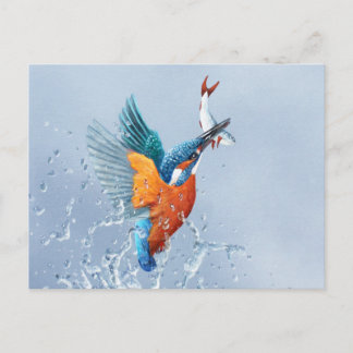 Kingfisher vliegt uit het water briefkaart