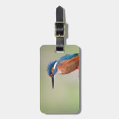 Kingfisher vogel. bagagelabel (Voorkant verticaal)