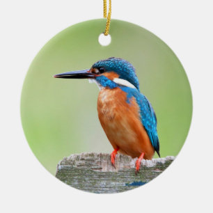 Kingfisher vogel keramisch ornament
