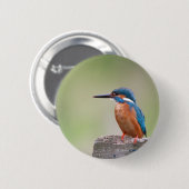 Kingfisher vogel. ronde button 5,7 cm (Voorkant /achterkant)