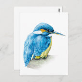 Kingfisher waterverf briefkaart (Voorkant / Achterkant)