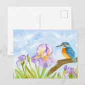  Kingfisher with Purple Irises Briefkaart (Voorkant / Achterkant)