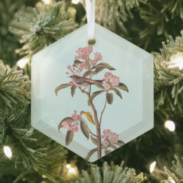 Kinglet Bird van Audubon op Roze Calico Glas Ornament