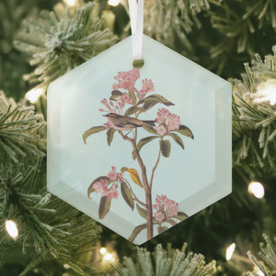 Kinglet Bird van Audubon op Roze Calico Glas Ornament