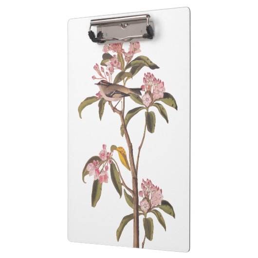 Kinglet Bird van Audubon op Roze Calico Klembord (Links)