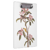 Kinglet Bird van Audubon op Roze Calico Klembord (Rechts)