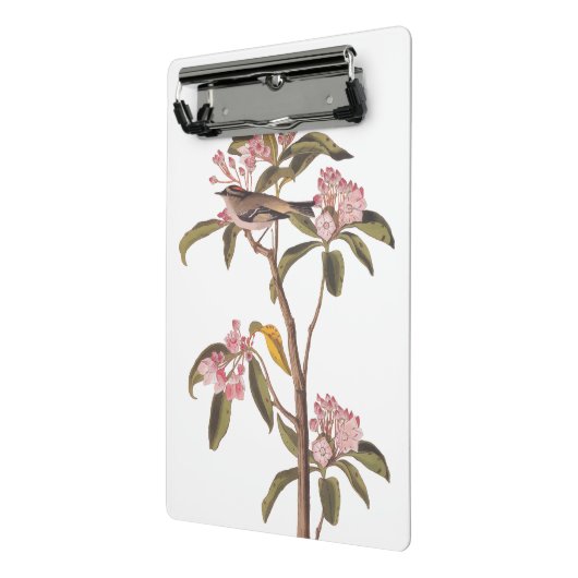 Kinglet Bird van Audubon op Roze Calico Mini Klembord (Angled2)