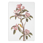 Kinglet Bird van Audubon op Roze Calico Mini Klembord (Achterkant)