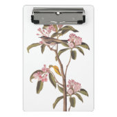 Kinglet Bird van Audubon op Roze Calico Mini Klembord (Voorkant)