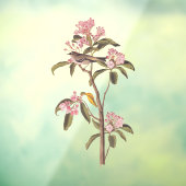 Kinglet Bird van Audubon op Roze Calico Raamsticker (Vel 3)