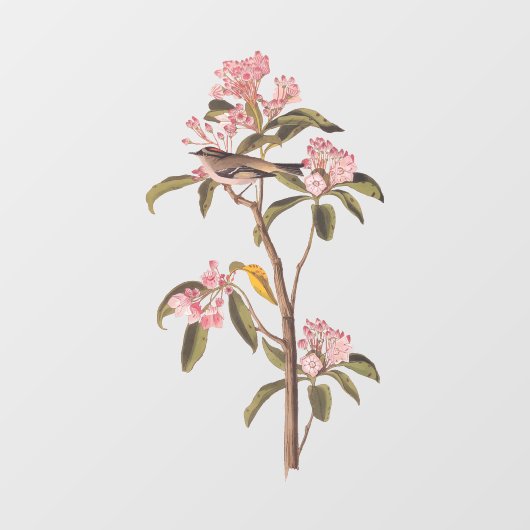 Kinglet Bird van Audubon op Roze Calico Raamsticker (Vel)