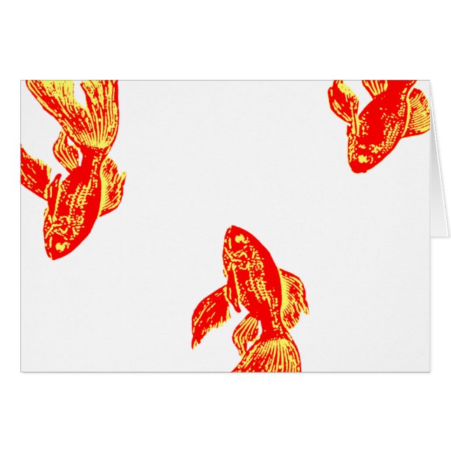 kingyo rouge (Devant horizontal)