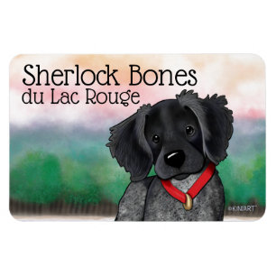 KiniArt Black Roan Brittany Magnet Magneet